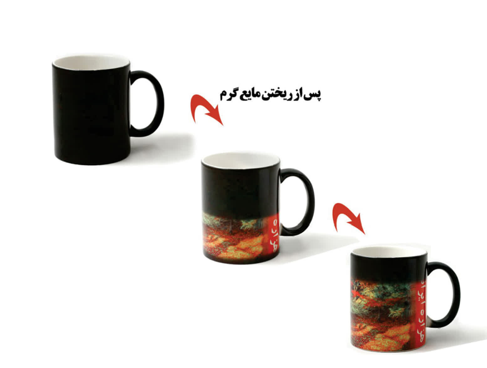لیوان 2605